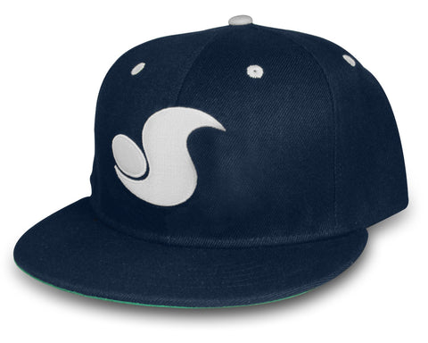 DVS Skate Classic Snapback Rubber Logo - Black/Grey